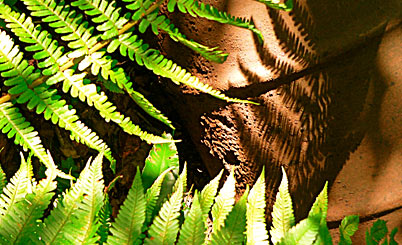 【功能对比测评】全面分析的在线DDOS平台攻击